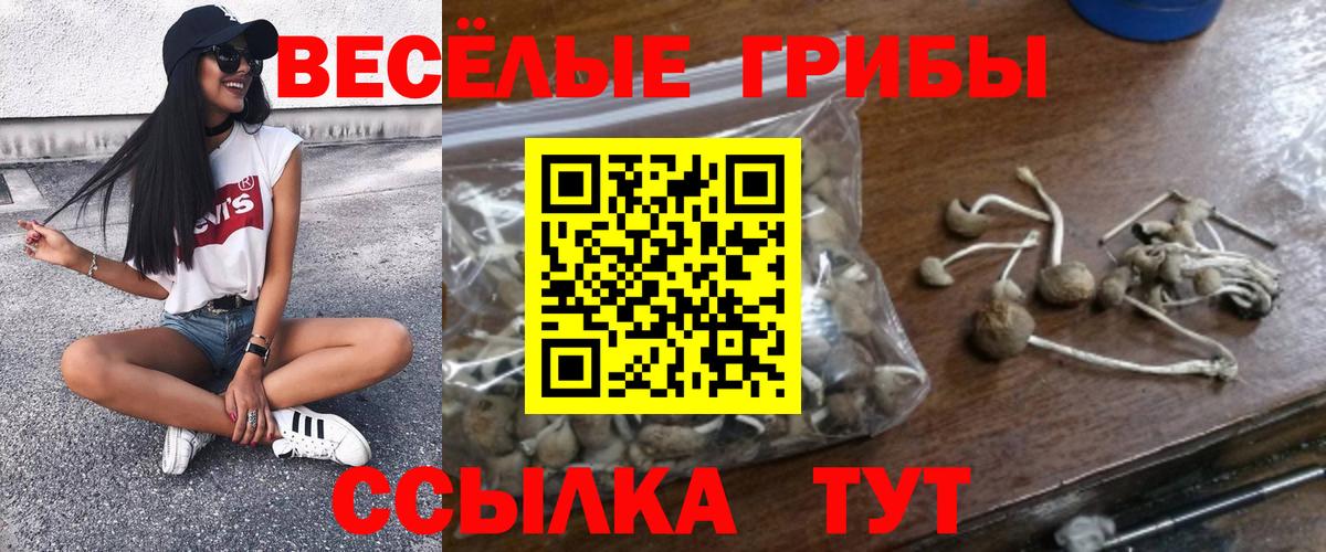 Галлюциногенные грибы ЛСД  Псилоцибиновые грибы GOLDEN TEACHER  Вход с VPN  Ухта 